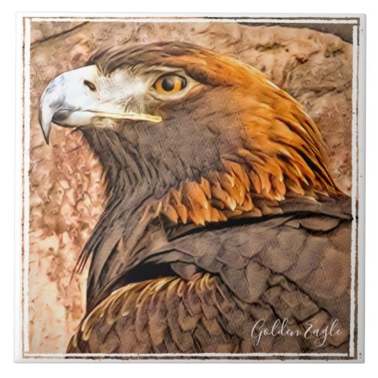 イ ワ シ TEGELTJE (Voorkant)