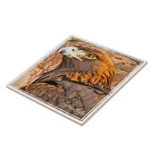 イ ワ シ TEGELTJE (Zijkant)