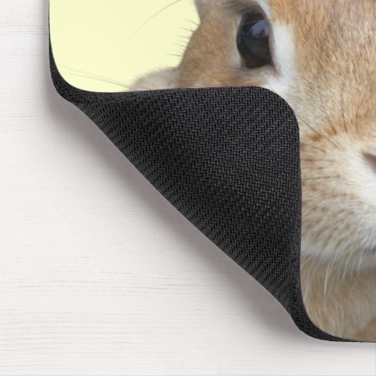 ウサギの顔 MUISMAT (Hoek)