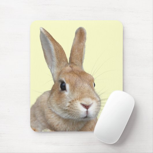 ウサギの顔 MUISMAT (Met muis)