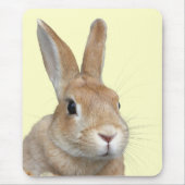 ウサギの顔 MUISMAT (Voorkant)