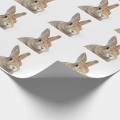 ウサギ CADEAUPAPIER (Hoek)