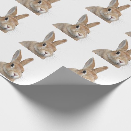 ウサギ CADEAUPAPIER (Hoek)