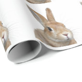 ウサギ CADEAUPAPIER (Rol Hoek)