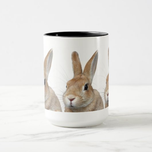 ウサギ MOK (Midden)