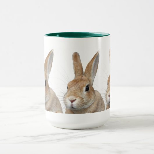 ウサギ MOK (Midden)