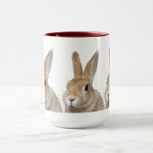 ウサギ MOK (Midden)