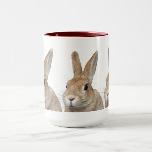 ウサギ MOK (Midden)