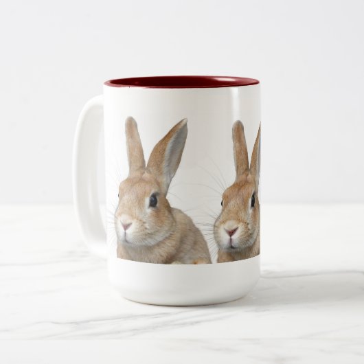 ウサギ TWEEKLEURIGE KOFFIEMOK (Voorkant links)