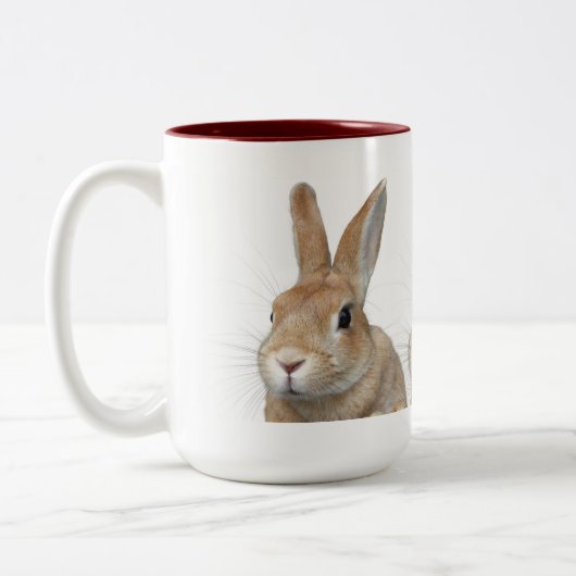 ウサギ TWEEKLEURIGE KOFFIEMOK (Links)
