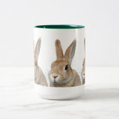 ウサギ TWEEKLEURIGE KOFFIEMOK (Center)
