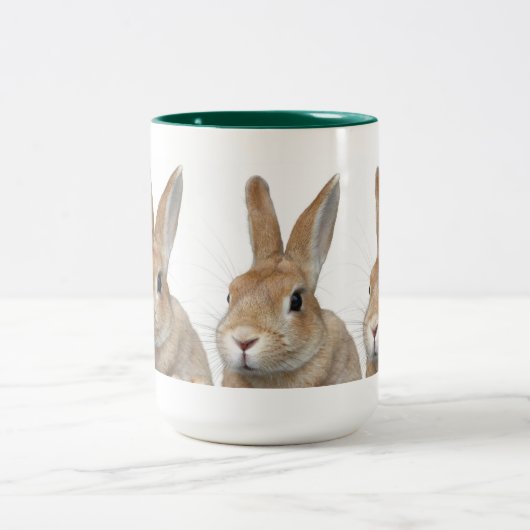 ウサギ TWEEKLEURIGE KOFFIEMOK (Center)