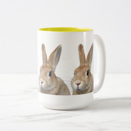 ウサギ TWEEKLEURIGE KOFFIEMOK (Voorkant rechts)