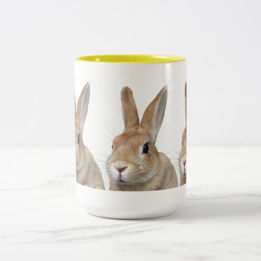 ウサギ TWEEKLEURIGE KOFFIEMOK (Center)