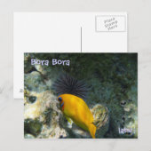 ウ ニ 熱 帯 魚 BRIEFKAART (Voorkant / Achterkant)