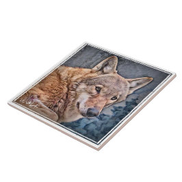 オオカミ タイル TEGELTJE