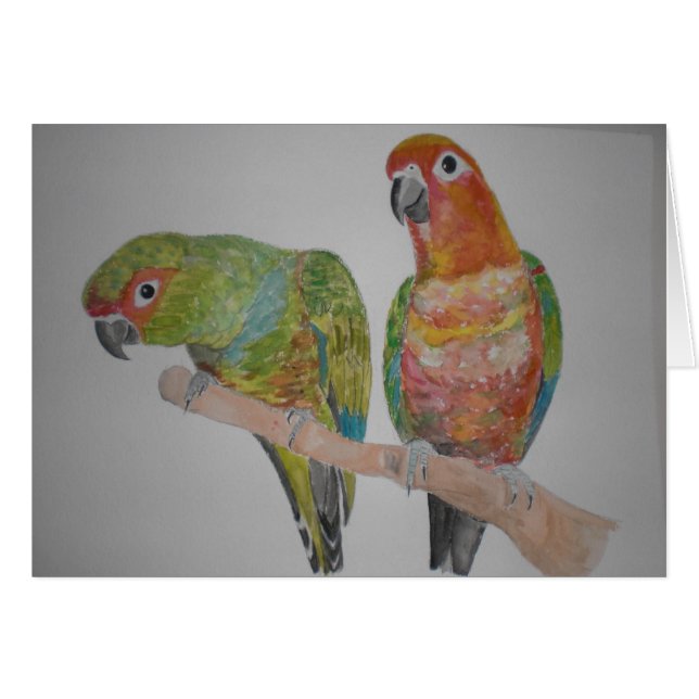 オ ウ パ ロ トムConure paar die uit elkaar hangen (Voorkant Horizontaal)