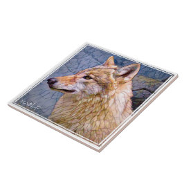 オ オ ミ タ イ ル TEGELTJE