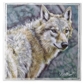 オ カ ミ TEGELTJE (Voorkant)