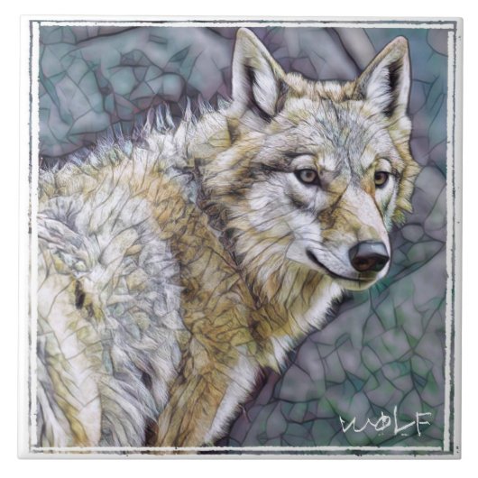 オ カ ミ TEGELTJE (Voorkant)