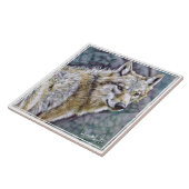 オ カ ミ TEGELTJE (Zijkant)