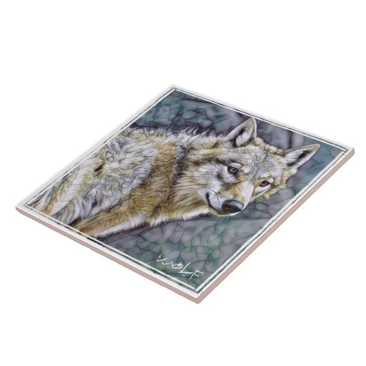 オ カ ミ TEGELTJE (Zijkant)