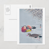 オ シ リ, 小 古 Mandarin duck, Ohara Koson, Ukiyo-e Briefkaart (Voorkant / Achterkant)