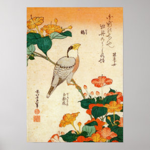 オ シ , ロに, Hokusai en Mirabilis ナ Poster