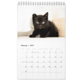 カレンダー KALENDER (Feb 2027)