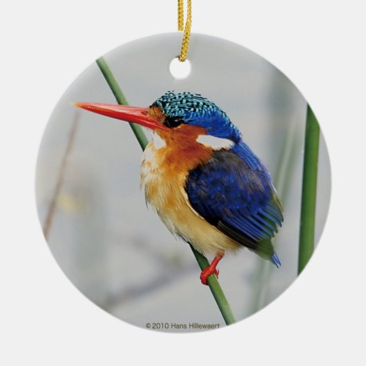 カワセミの優良製品 KERAMISCH ORNAMENT (Voorkant)