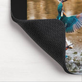 カワセミ MUISMAT (Hoek)