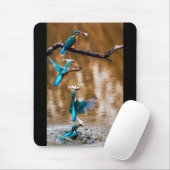 カワセミ MUISMAT (Met muis)