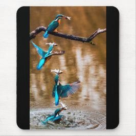 カワセミ MUISMAT