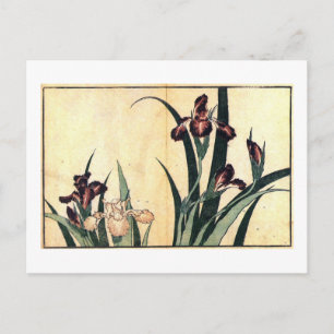 カ ツ タ, 北 Irises, Hokusai, Ukiyo-e Briefkaart