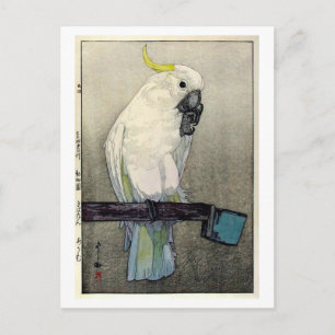 キ タ オ ム, zwavelcreste cockatoo, Yoshida Briefkaart