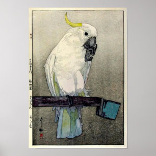 キ タ オ ム, zwavelcreste cockatoo, Yoshida Poster