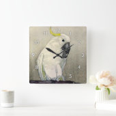 キ タ オ ム, zwavelcreste cockatoo, Yoshida Vierkante Klok (Huis)