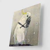 キ タ オ ム, zwavelcreste cockatoo, Yoshida Vierkante Klok (Hoek)