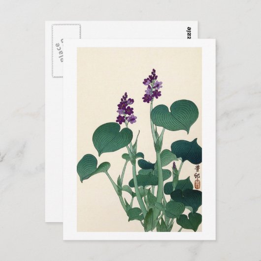 ギ ウ の 花, 古 Paars Flowering Hosta, Ohara Koson Briefkaart (Voorkant / Achterkant)