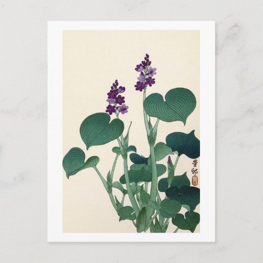 ギ ウ の 花, 古 Paars Flowering Hosta, Ohara Koson Briefkaart (Voorkant)