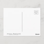 クーガー BRIEFKAART (Achterkant)