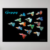 グッピーのポスター POSTER (Voorkant)