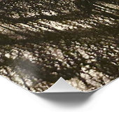 グロッシーポスター PERFECT POSTER (Hoek)