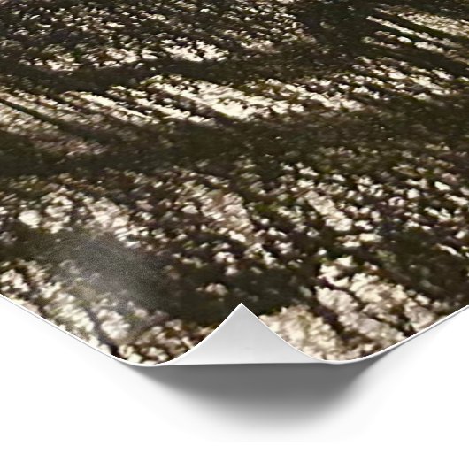 グロッシーポスター PERFECT POSTER (Hoek)