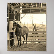 ケイメイ牧場　グラマーちゃん　まるで置き物