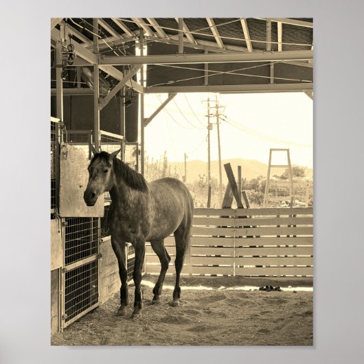 ケイメイ牧場 グラマーちゃん まるで置き物 POSTER (Voorkant)