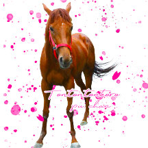 ケイメイ牧場　トントントントロちゃん　立ち姿＆総柄