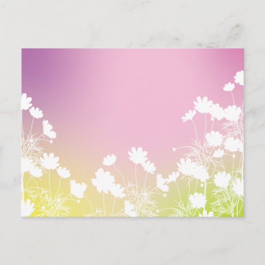 コスモスの花|秋の風を感じるポストカード BRIEFKAART (Voorkant)