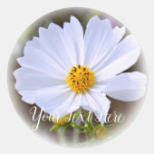 コスモス RONDE STICKER (Voorkant)