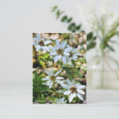 コ ウユラウ80000000005Briefkaartイス000000000000000000000 Briefkaart (Staand voorkant)